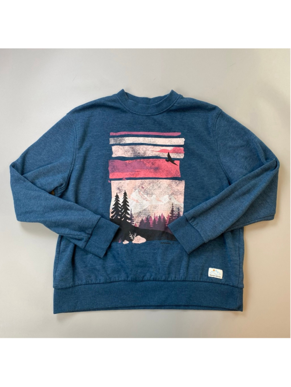 Mountain and Isles Sweatshirt Womens Small Blue Pink Graphic Outdoors Crewneck